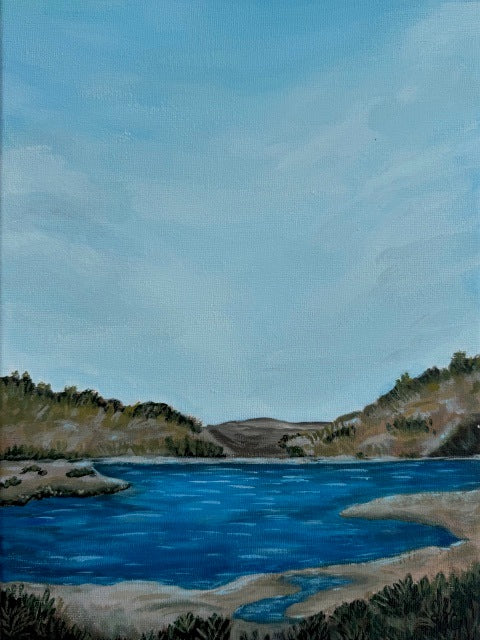 Serenity at Daley Ranch - Original Painting